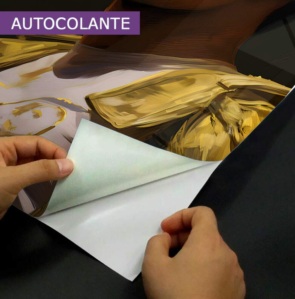 Adesivo Para Porta Inspirada em Freddie Mercury