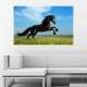 Painel Fotogr�fico Adesivo Animais 9