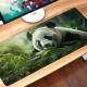 Mouse Pad 70x30cm Panda em Floresta