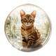 Quebra Cabe�a Kids Filhote de Gato Amarelo Bengal Kitten