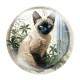 Quebra Cabe�a Kids Filhote de Gato Siam�s em Folhas