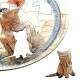 Quebra Cabe�a Kids Filhote de Gato Sphynx em Desenho
