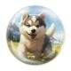 Quebra Cabe�a Kids Filhote de Husky Siberiano