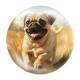 Quebra Cabe�a Kids Filhote de Pug Correndo em Campo