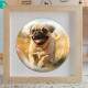 Quebra Cabe�a Kids Filhote de Pug Correndo em Campo