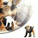 Quebra Cabe�a Kids Filhotes de Beagle