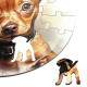 Quebra Cabe�a Kids Filhote de C�o Pinscher