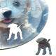 Quebra Cabe�a Kids Filhotes de Poodle em Bolha