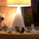 Quebra Cabe�a Kids Filhote de Coelho Baby