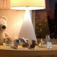 Quebra Cabe�a Kids Filhote de Coruja Baby