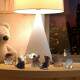 Quebra Cabe�a Kids Filhote de Raposa Baby