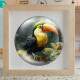 Quebra Cabe�a Kids Filhote de Tucano Baby