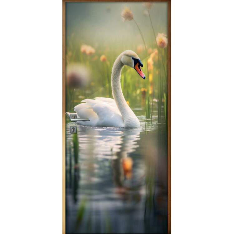 Adesivo de Porta Cisne Refletindo em gua