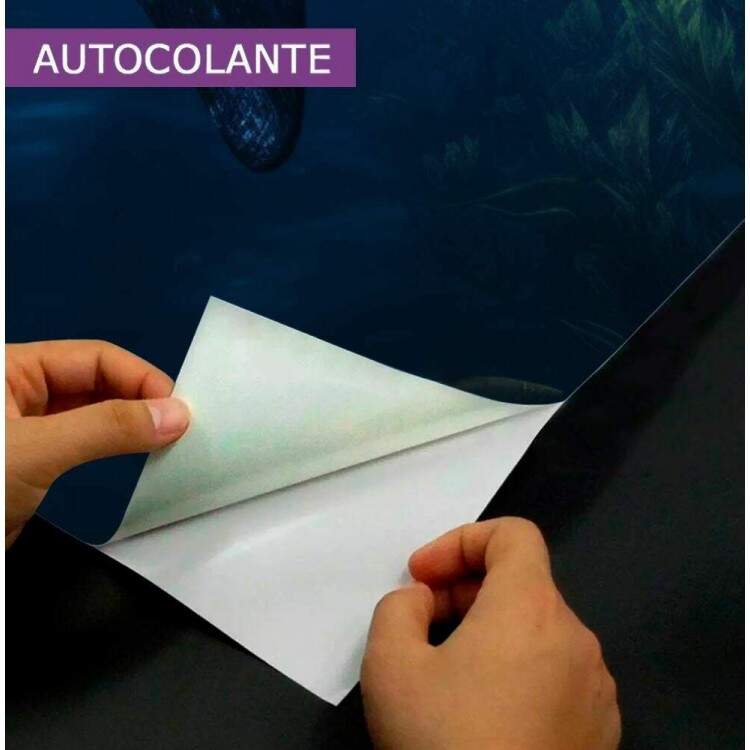 Adesivo de Porta Ictiossauro Caando