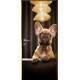 Adesivo de Porta Bulldog em Casa Iluminada