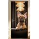 Adesivo de Porta Bulldog em Casa Iluminada