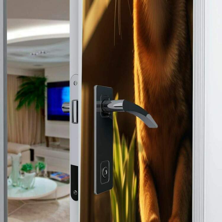 Adesivo de Porta Gato Abissnio Em Estante