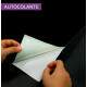 Adesivo de Porta Gato Relaxando em Sof�