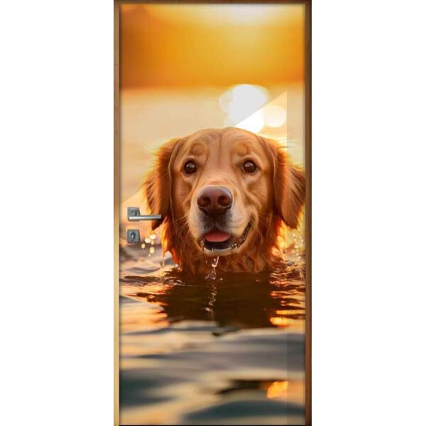 Adesivo de Porta Golden Retriever Nadando em Rio