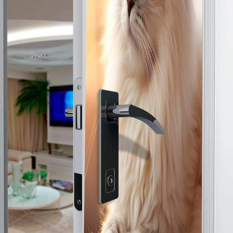 Adesivo de Porta Gato Ragdoll Deitado Relaxando