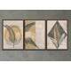 Kit 3 Quadros Decorativos Abstrato Bege com Folhagem Preta e Dourada