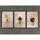 Kit 3 Quadros Decorativos Abstrato Lua Rose com Aquarela