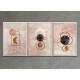Kit 3 Quadros Decorativos Abstrato Lua Rose com Aquarela
