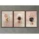 Kit 3 Quadros Decorativos Abstrato Lua Rose com Aquarela