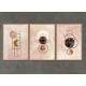 Kit 3 Quadros Decorativos Abstrato Lua Rose com Aquarela