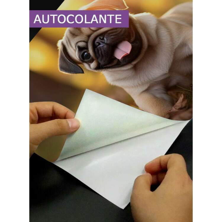 Adesivo para Notebook Co Pug Filhote