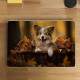 Adesivo para Notebook Filhote Collie Brincando em Folhas