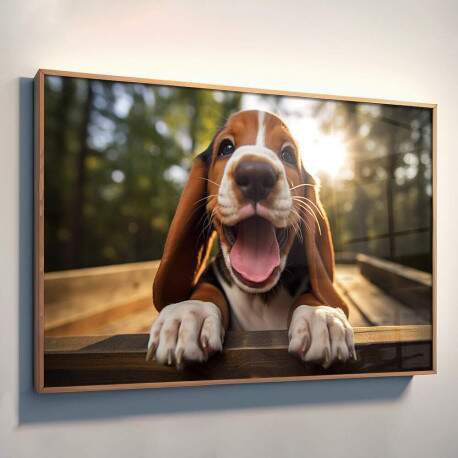 Quadro Decorativo Co Basset Hound