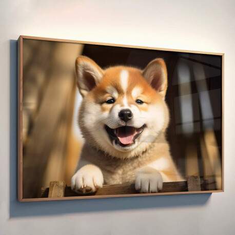 Quadro Decorativo Co Akita Inu