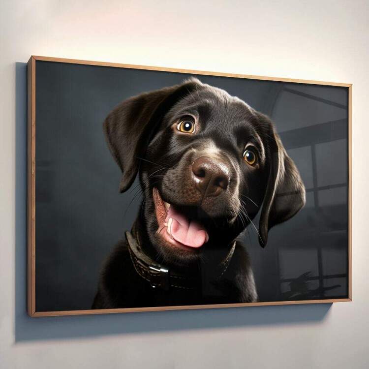 Quadro Decorativo Co Filhote Labrador Preto