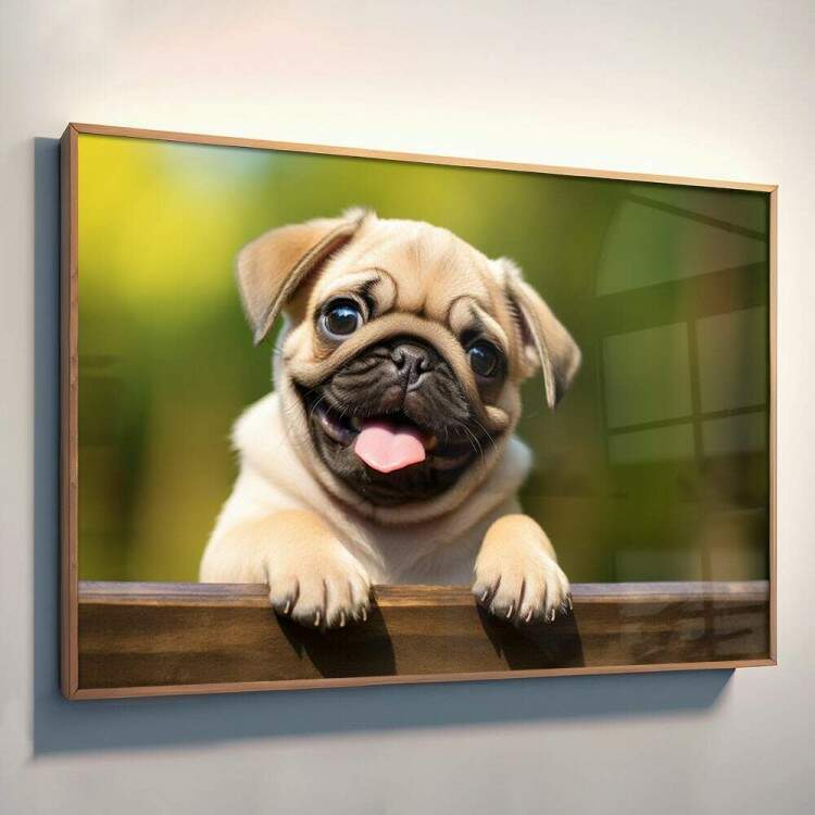 Quadro Decorativo Co Filhote Pug