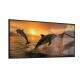 Quadro Decorativo Slim Dan�a de Golfinhos