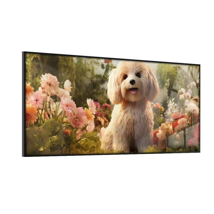 Quadro Decorativo Slim Co Poodle em Lindo Jardim