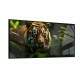 Quadro Decorativo Slim Tigre em Floresta