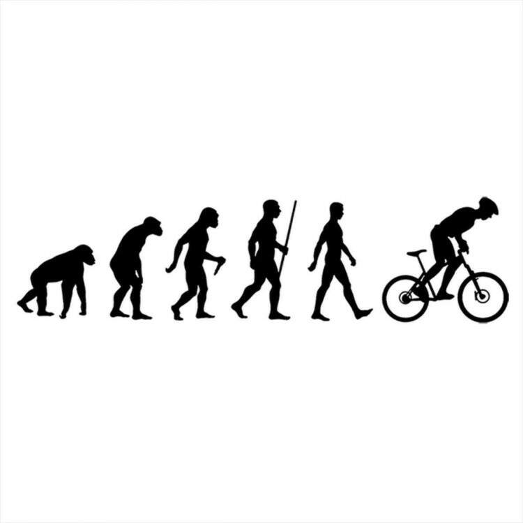 Adesivo de Parede Evoluo de Ciclista