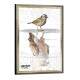 Quadro Decorativo Mind Set P�ssaro e �guia