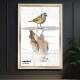Quadro Decorativo Mind Set P�ssaro e �guia