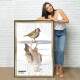Quadro Decorativo Mind Set P�ssaro e �guia