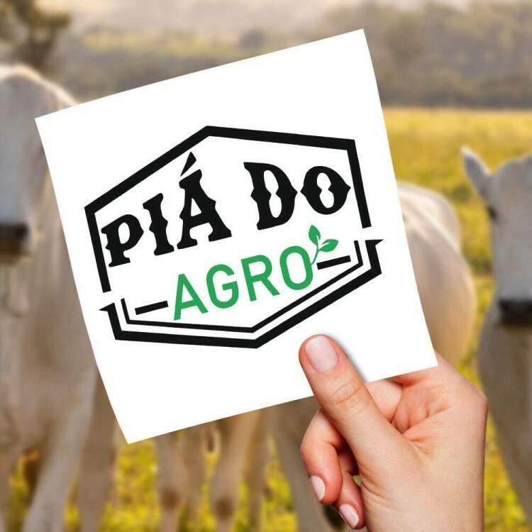 Adesivo de Parede Agro Pi do Agro