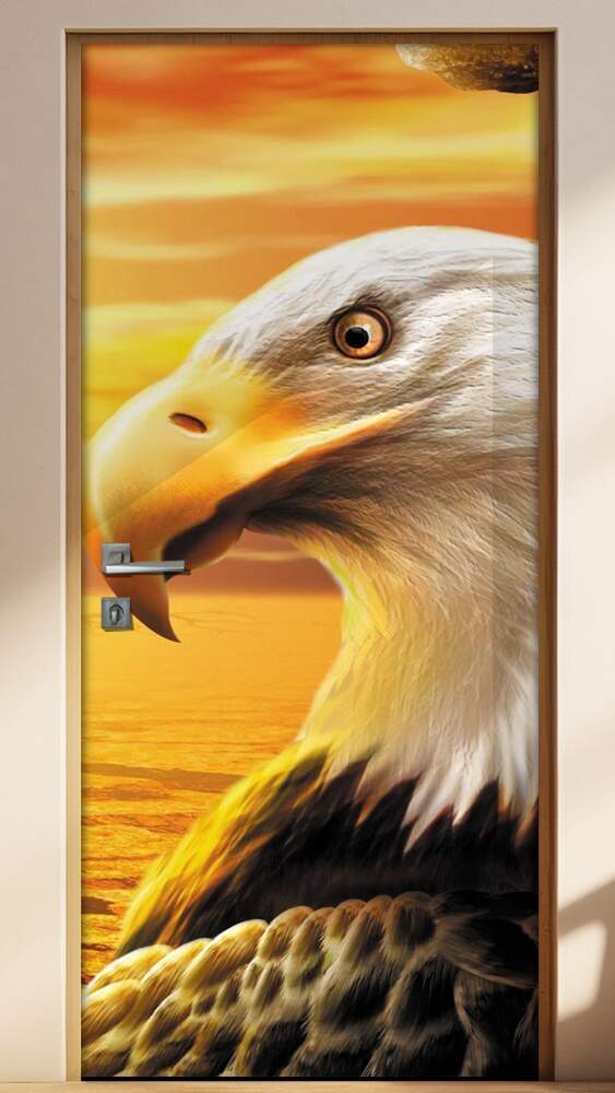 Adesivo Para Porta Animais �guia 7