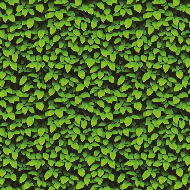 Papel de Parede Efeito Folhas de Jardim