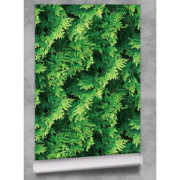 Papel de Parede Efeito Folhas Parede Verde