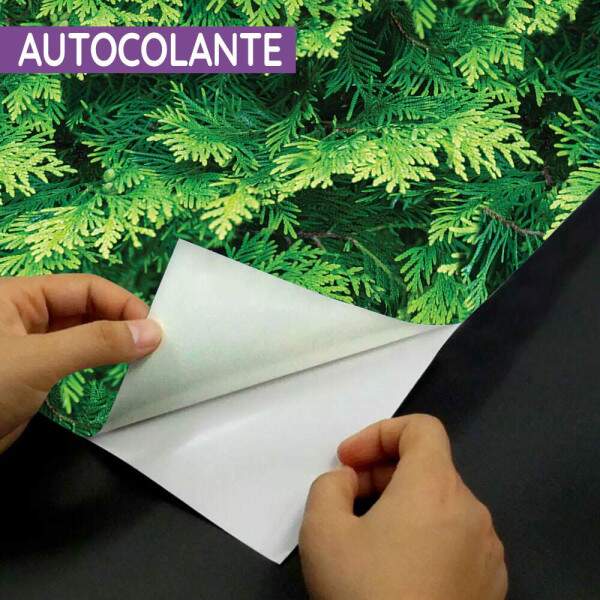 Papel de Parede Efeito Folhas Parede Verde