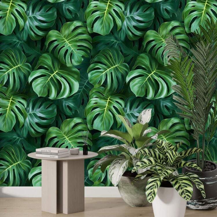 Papel de Parede Floral Folhas Monstera com Fundo Escuro