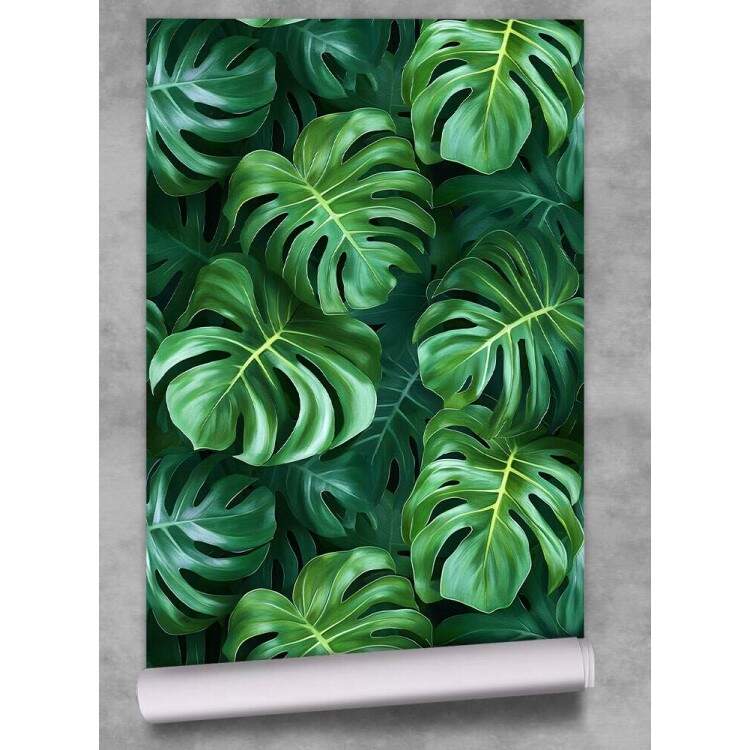 Papel de Parede Floral Folhas Monstera com Fundo Escuro