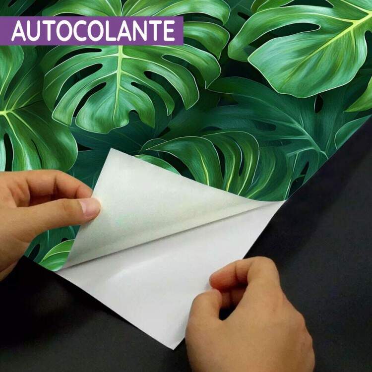 Papel de Parede Floral Folhas Monstera com Fundo Escuro